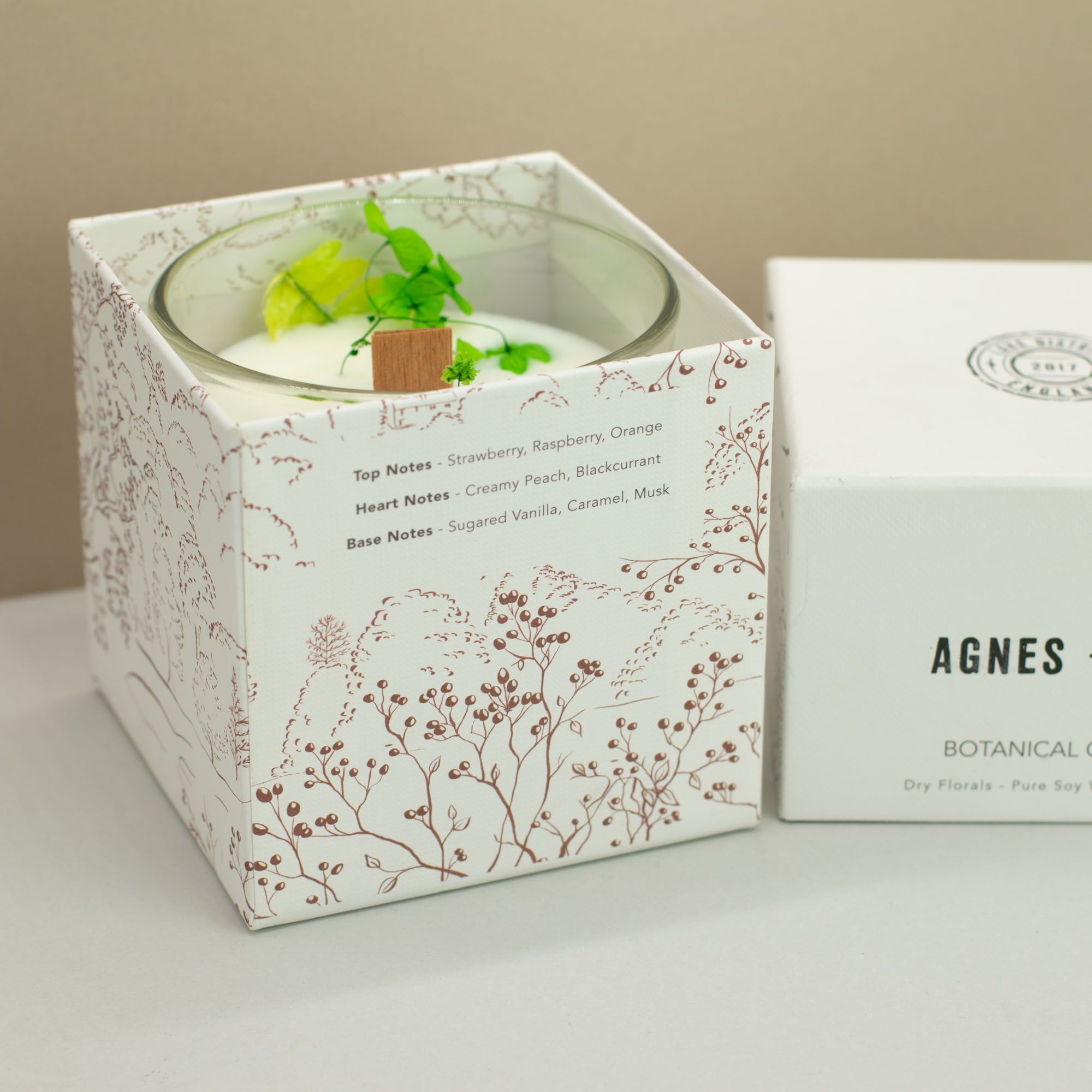 Botanická sójová sviečka Agnes + Cat - Fellberry