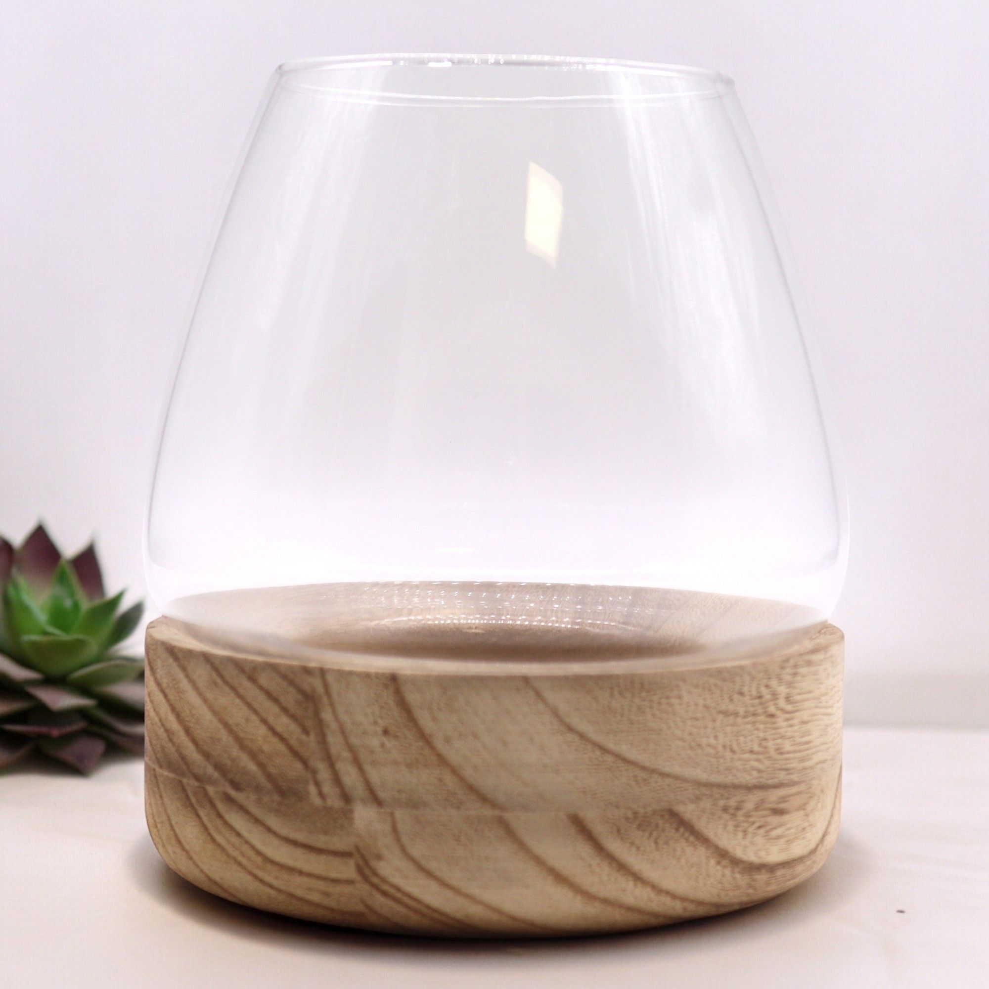 Veľké terárium na podstavci z prírodného tungového dreva – 17 × 19 cm